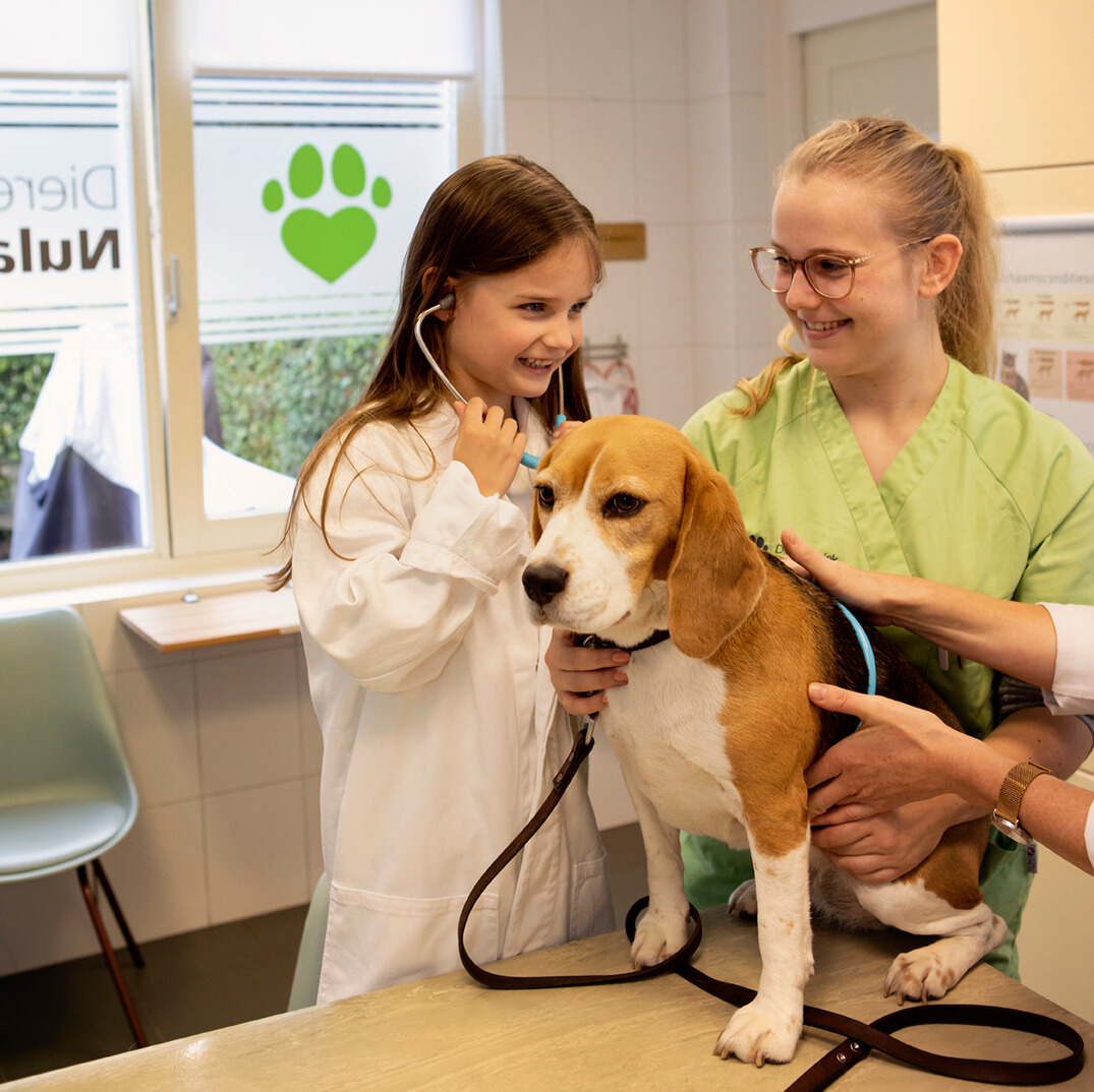 manifestatiewijsheden-van-kids-sue-dierenarts